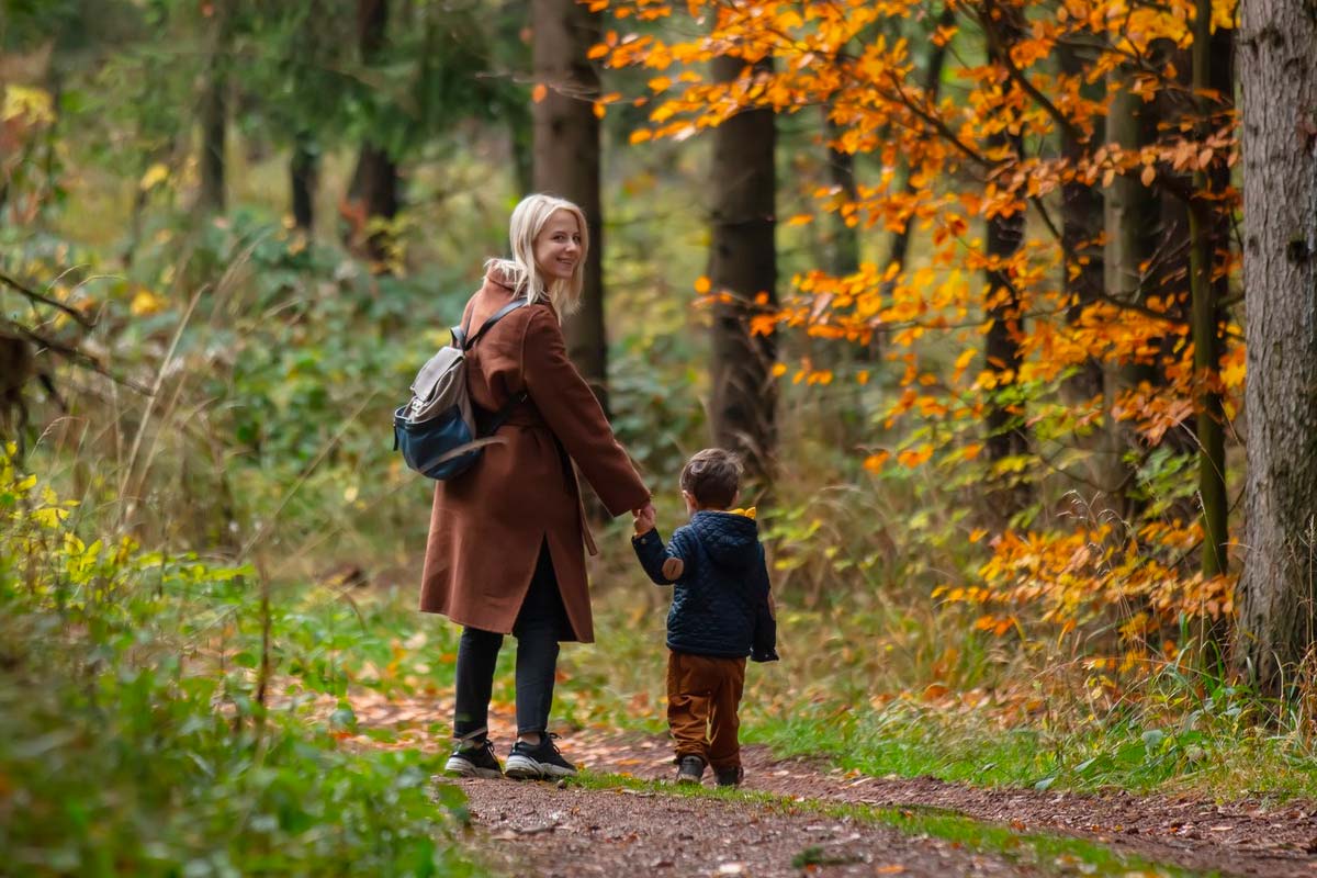 Promenade en forêt